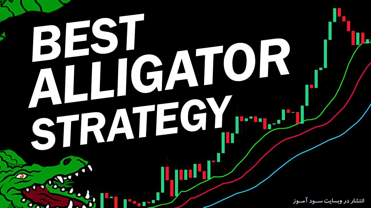 بهترین استراتژی معاملاتی اندیکاتور Alligator برای معاملات روزانه فارکس