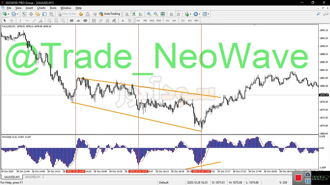 اسکالپ با مکدی از کانال neowave | سود اموز