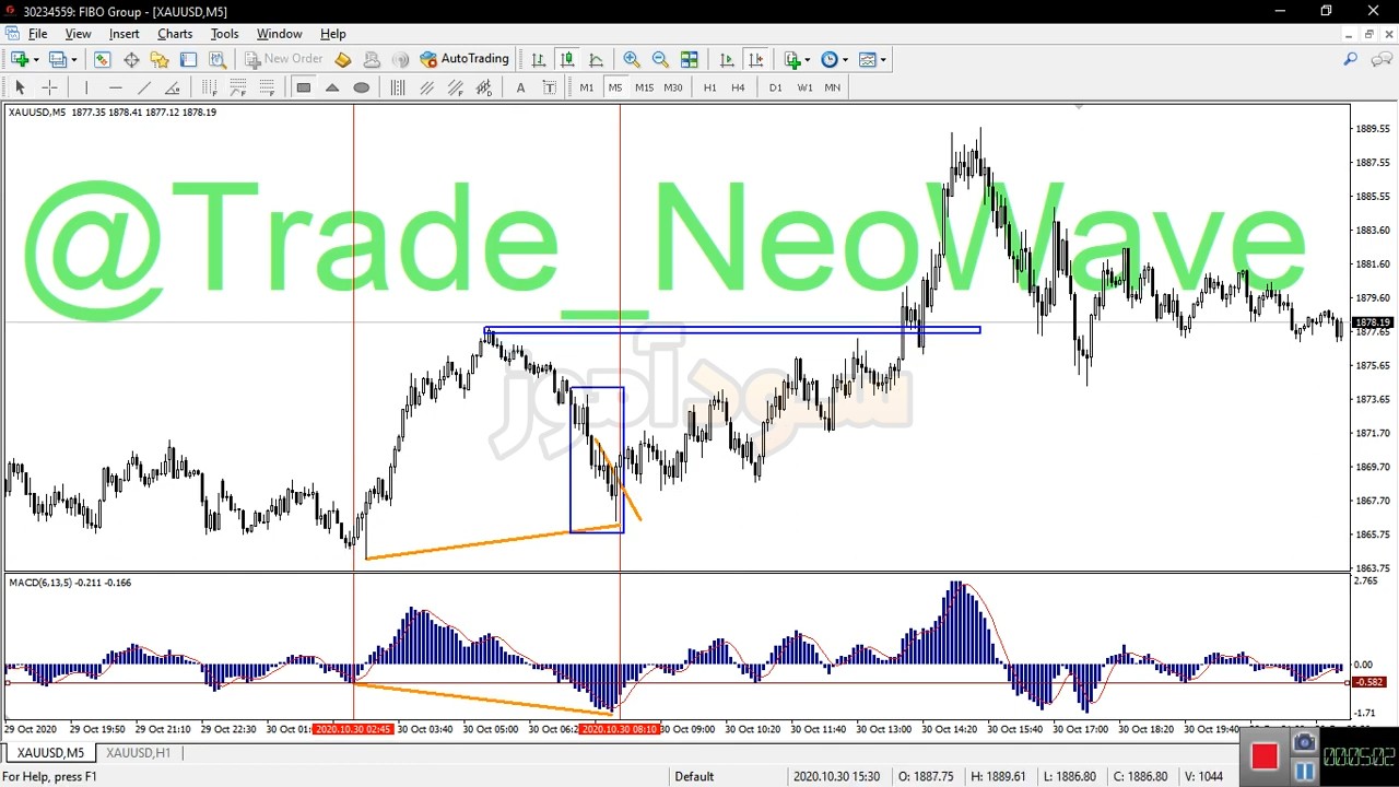اسکالپ با مکدی از کانال neowave | سود اموز